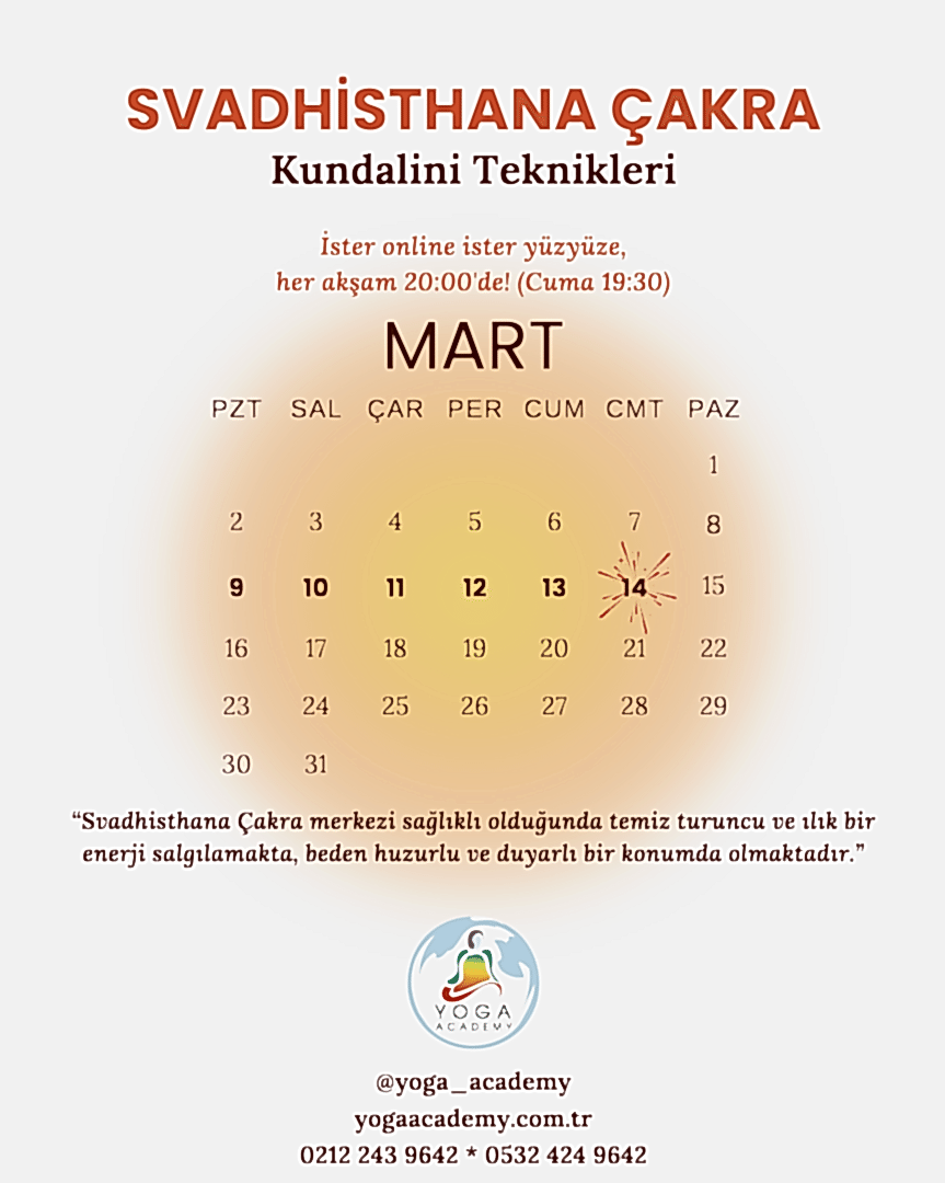 ÇAKRA ÇALIŞMALARI