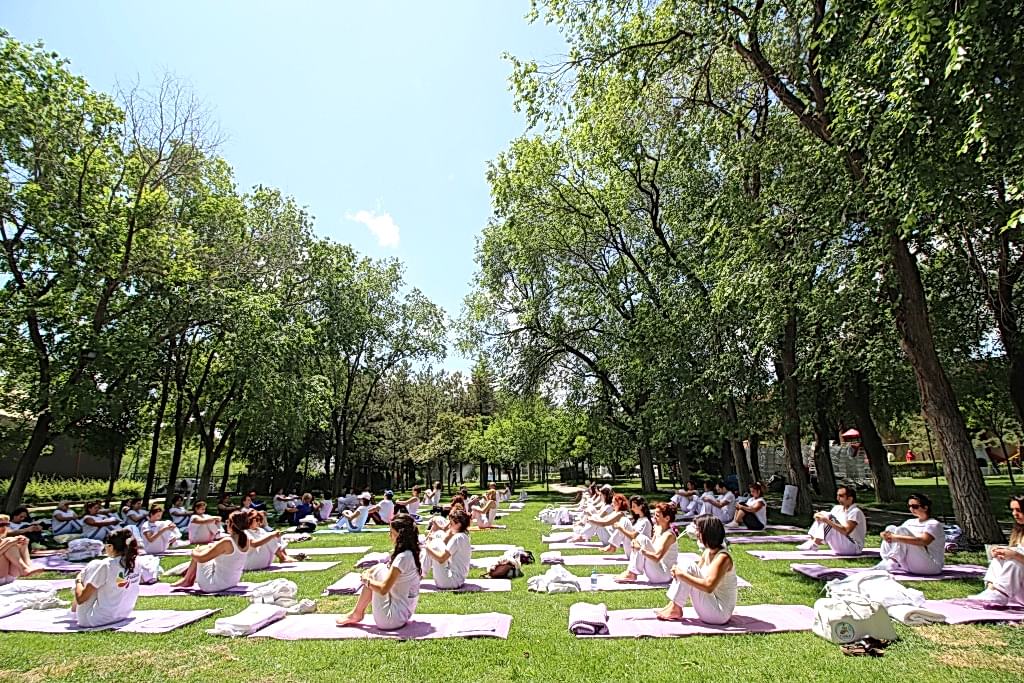 Çakra Enerji Merkezi Çalışmaları