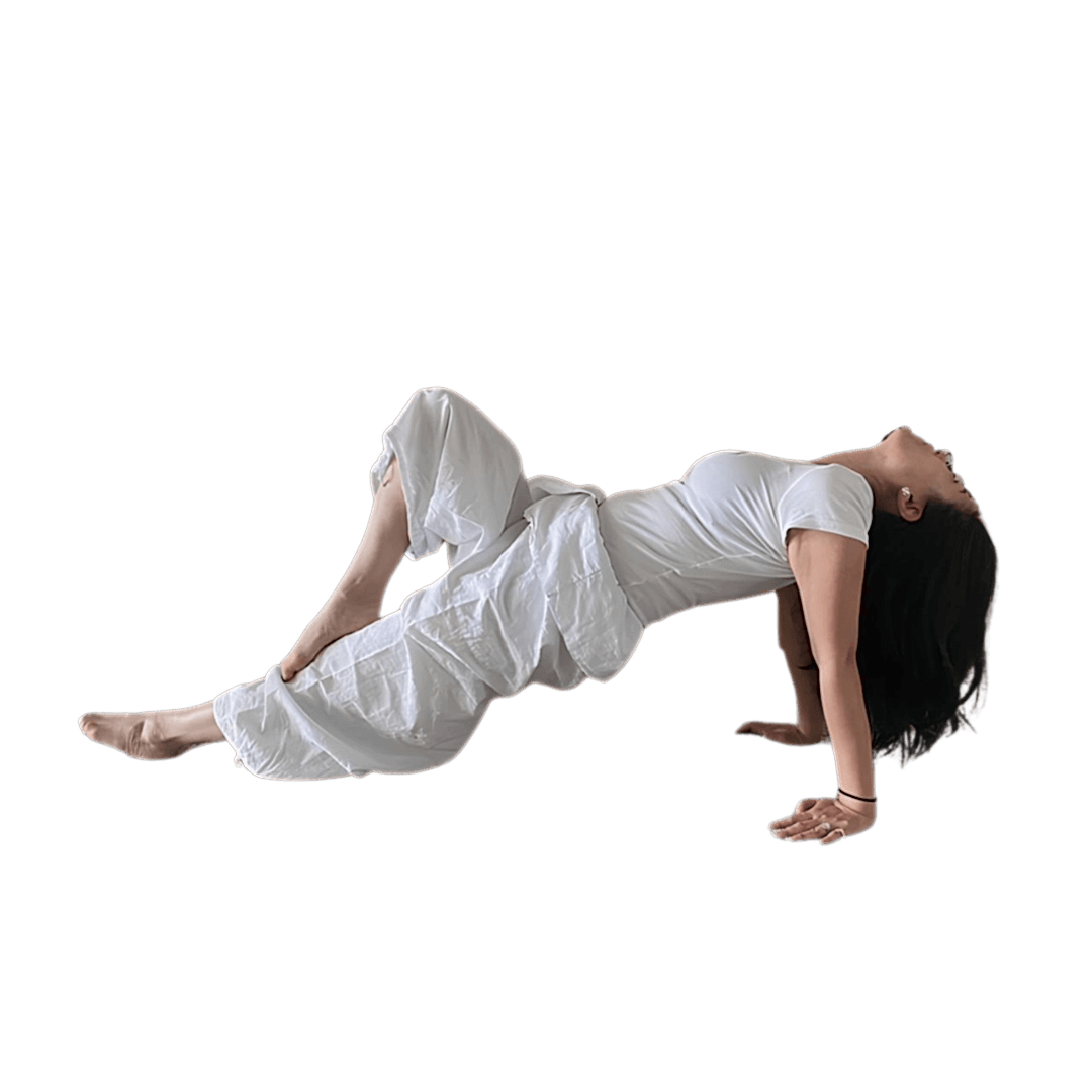 MERIT SOLARAH AUREONG