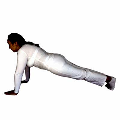 PETRONILA RAMIREZ SANCHEZ